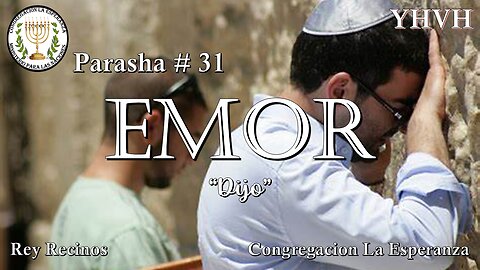 Parasha #31 EMOR