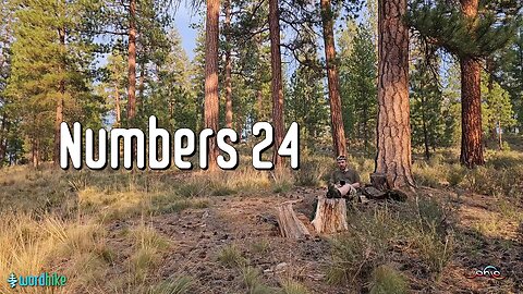 Numbers 24, Bible Reading in Nature, BSB