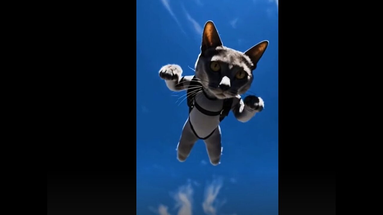 Animals skydiving