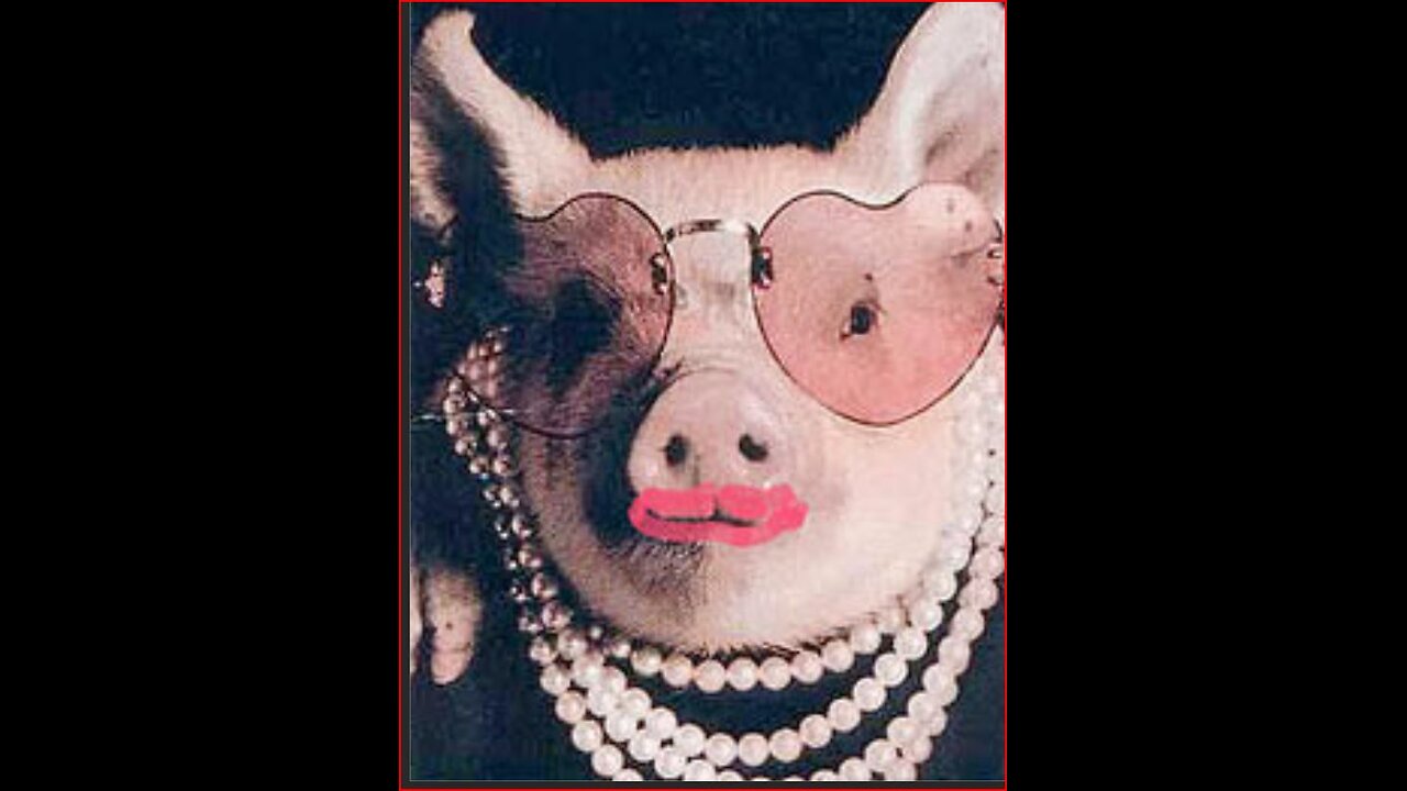 My Weight Loss Journey live episode 13