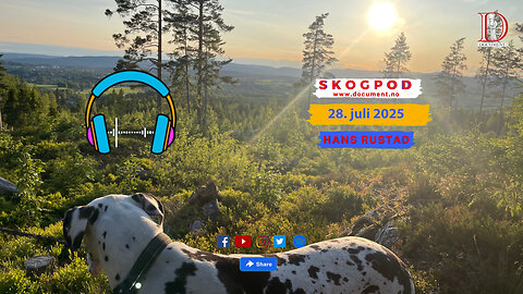 Skogpod 28. juli 2025