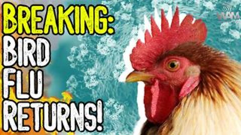 BIRD FLU RETURNS! - New Mandates As Propagandists Push New Plandemic