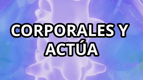 "EL ELIXIR SECRETO: Cómo tu Columna Vertebral Guarda la Llave de la Iluminación"