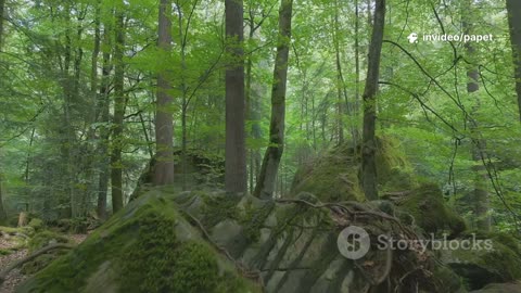 Jaký druh hudby je právě pro Vás léčivý I Ajurvéda