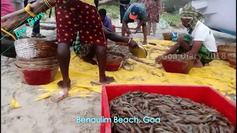 Benaulim Beach Goa