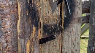 🔥 Axe & Knife Throwing Challenge at Barefoot Bushcraft 🎯⚔️