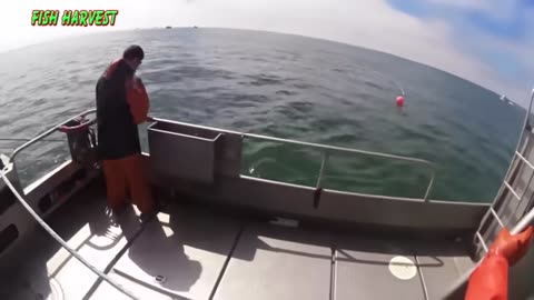 In The Sea The Most Satisfying Way To Catch Big Catches With Long Nets
