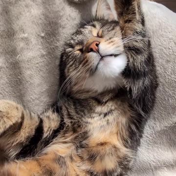 Someone needs a new muffler 🤣