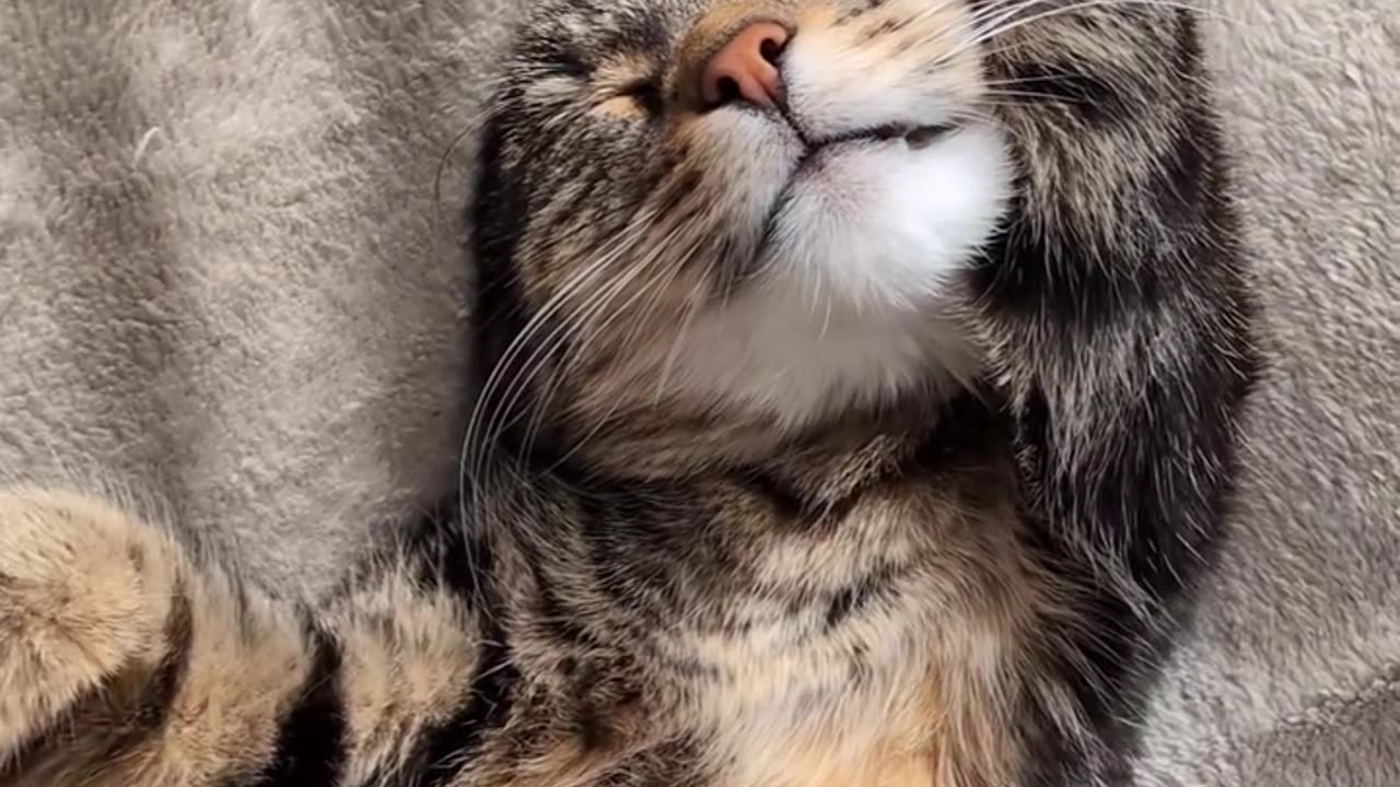 Someone needs a new muffler 🤣