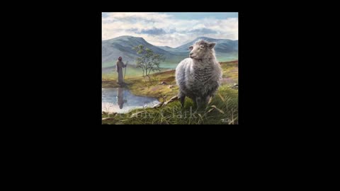 In the Works of John the Baptist: Something Wonderful,