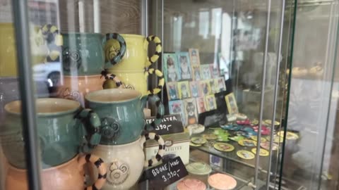 I Visited the Cat Cafe in Budapest Barefoot (Loser Ana Deleted YouTube Video)