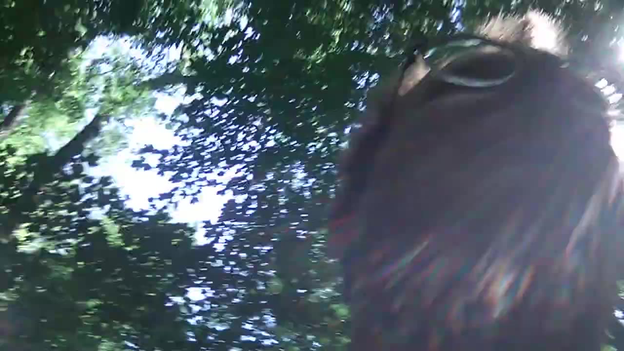 Todd Thundercock: INCEL stories_ #4 Anne Marie. The one that got away. TEEHEE! Wrong. She always h.