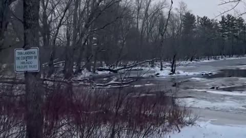 The Bald Eagles are assembling!