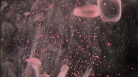 Daily Horoscope | Aquarius 🌟