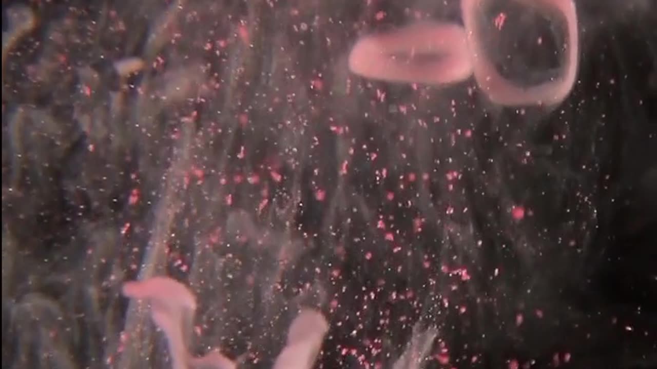 Daily Horoscope | Aquarius 🌟