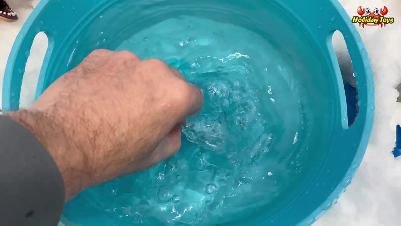 Baby Blue Turtle Learns to Swim in Water