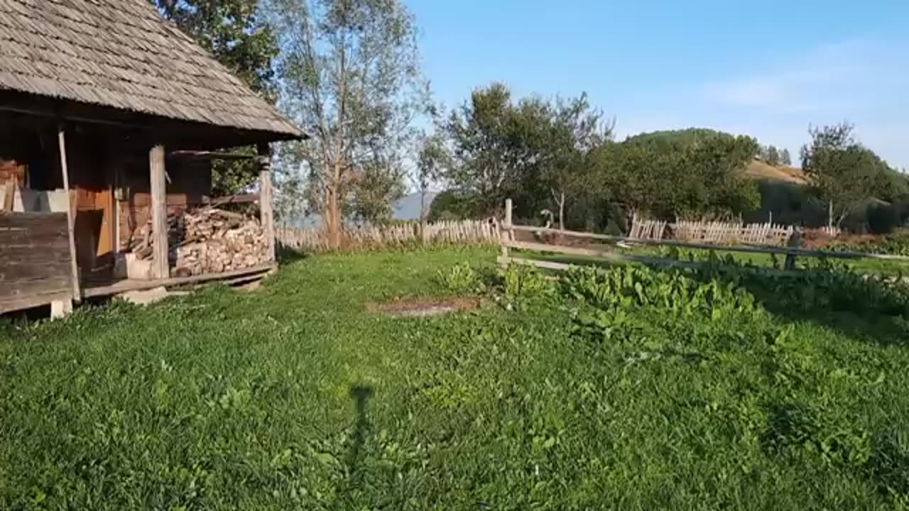 I spent 3 days alone in the mountains, in an abandoned house (Part 1)