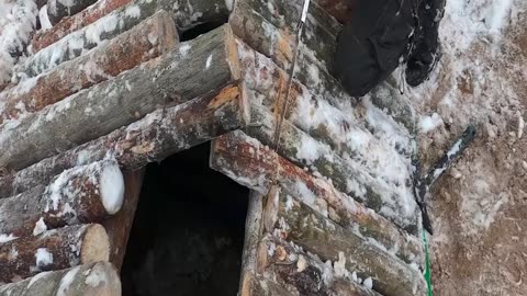 Cozy Tree House I m hiding from the Frost and Snowfall in a treehouse
