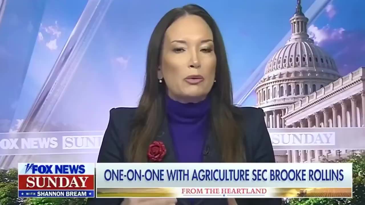 America was living under a tariff regime of other countries – President Trump ended it