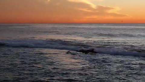 4000% SPED UP TIME-LAPSE- 22 minutes of Sunset to 30 Seconds #beach #sunset #timelapse #nature