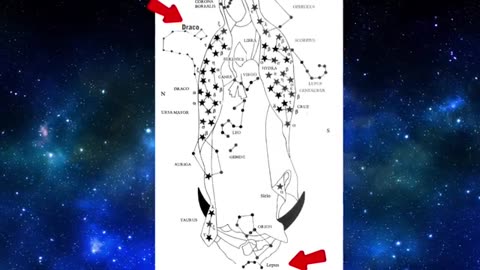 El Hallazgo Que Cambia Todo lo Que Sabíamos de la Virgen de Guadalupe