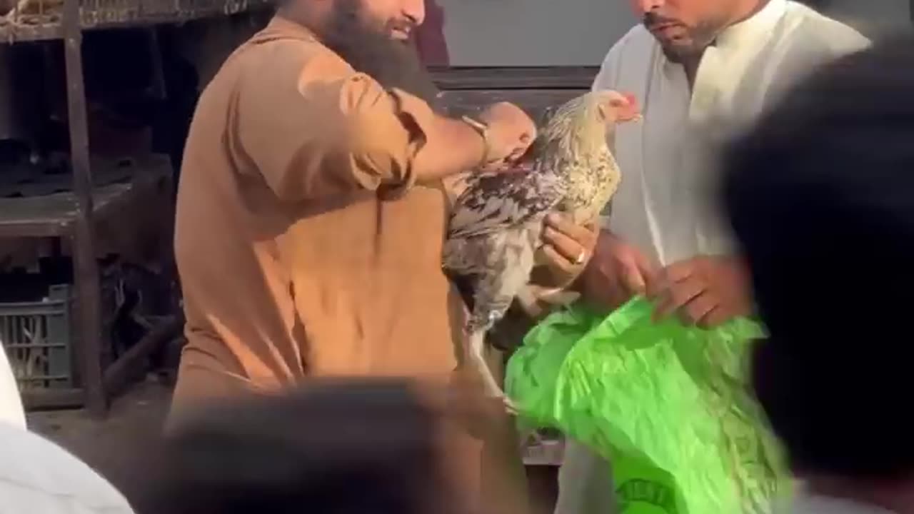 Stop thatās my chickenš