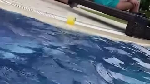 That's not how this prank was supposed to go