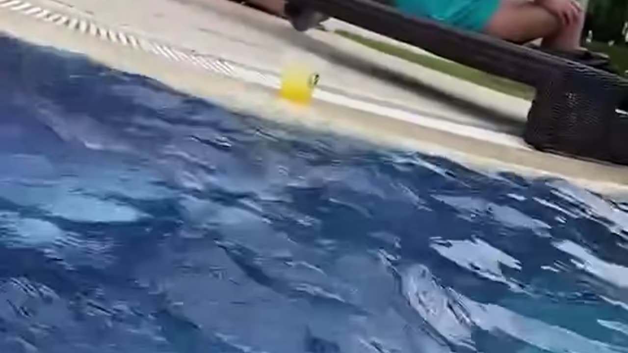 That's not how this prank was supposed to go