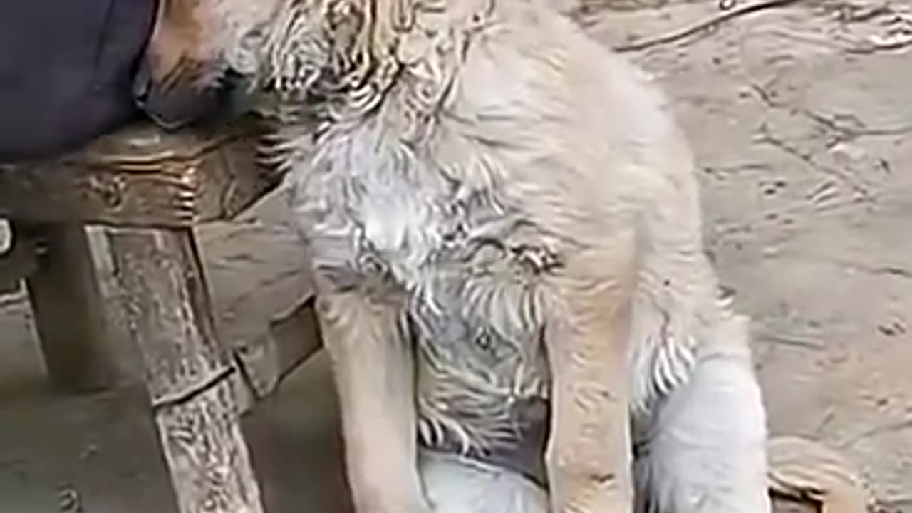 Even on the duty, sleep comes.