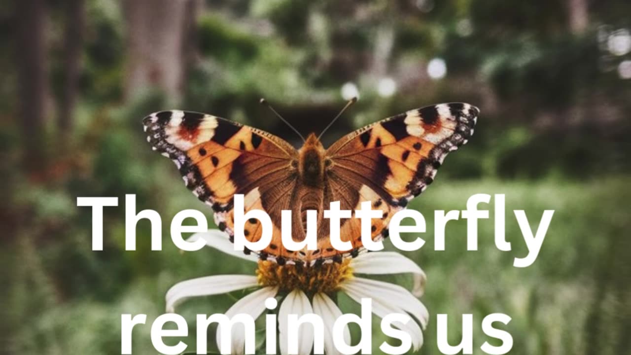 The butterfly reminds us that growth often requires transformation