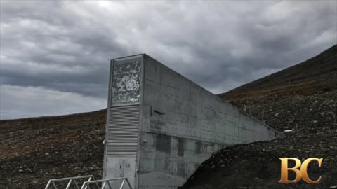 Sweden to begin stockpiling food for first time since Cold War