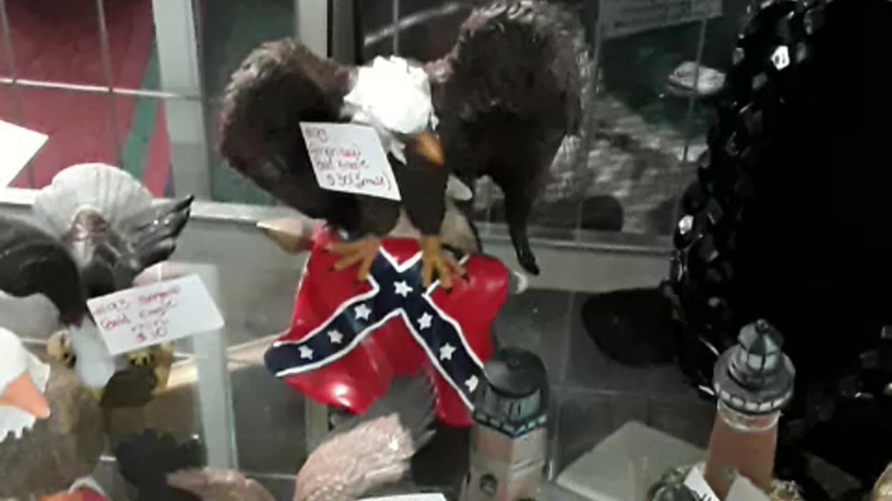 This Rebel can spot the Confederate Merch