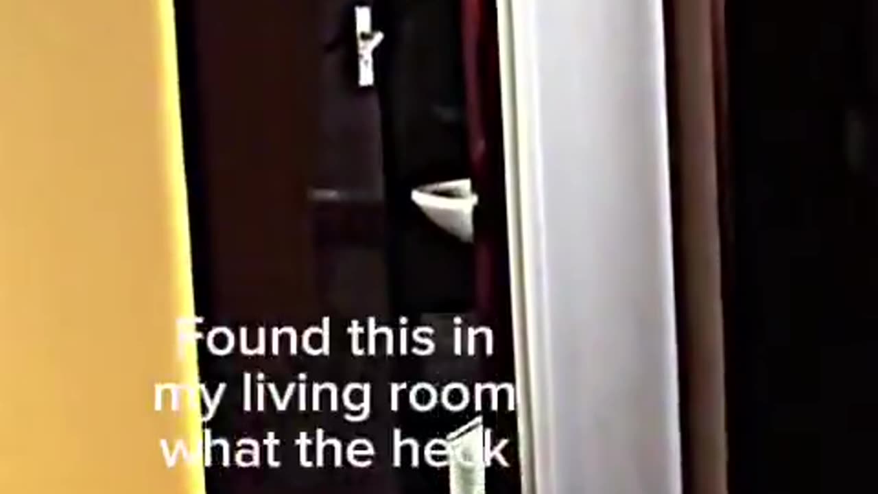 He recorded this in his living room... An intruder? An entity living in his house?