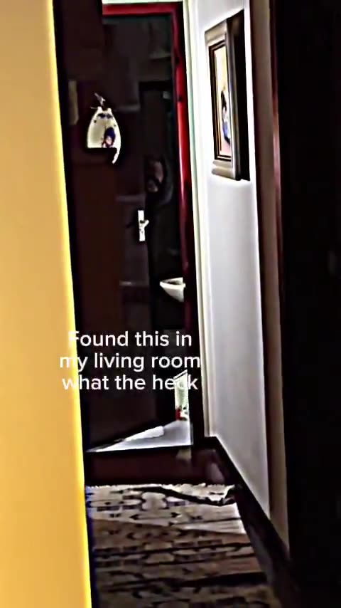 He recorded this in his living room... An intruder? An entity living in his house?