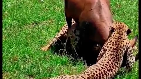 The great survival