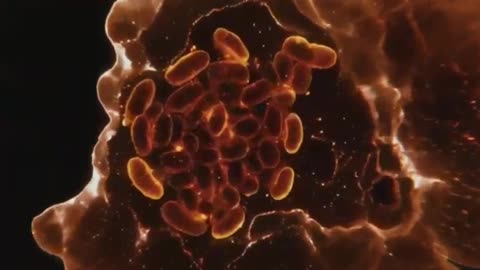 The 'Genesis Mission' has been launched under the Trump administration.