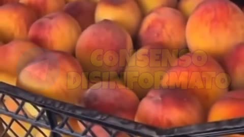 Fate attenzione alla provenienza quando fate la spesa.