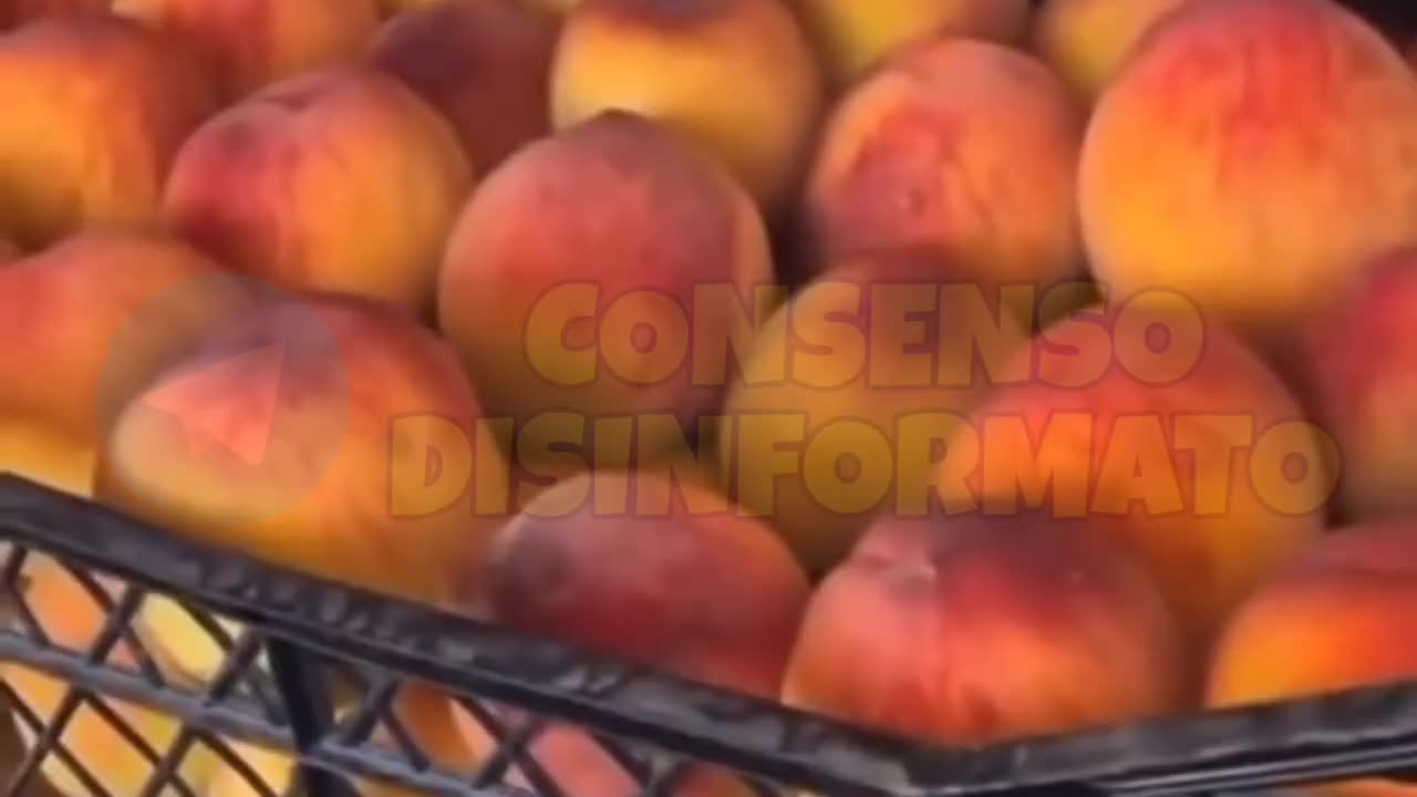 Fate attenzione alla provenienza quando fate la spesa.