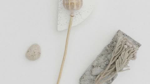 Daily Horoscope | Libra 🌟