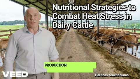 Beat Heat Stress:Dairy Cattle Nutrition Tips