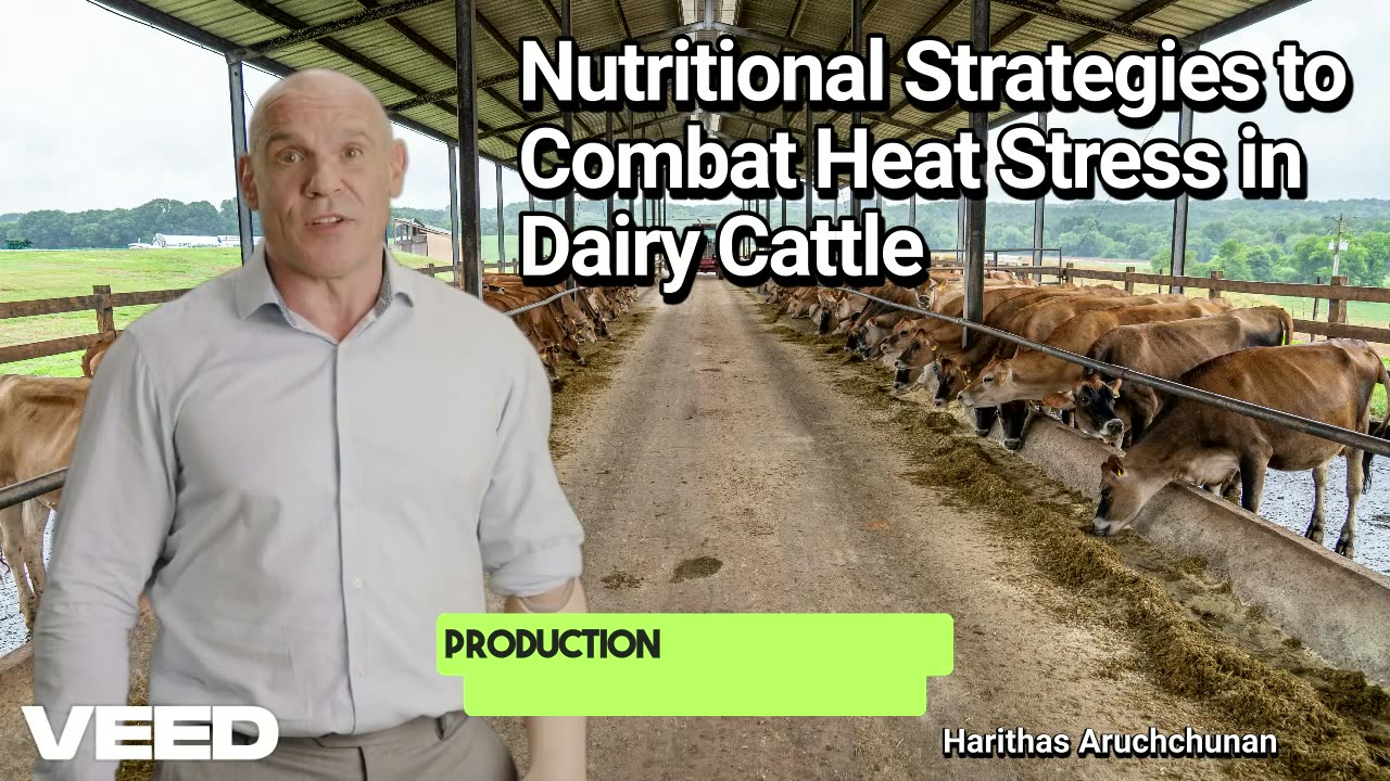 Beat Heat Stress:Dairy Cattle Nutrition Tips