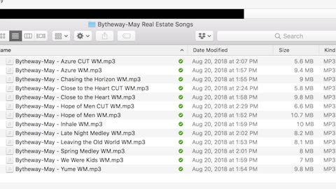 12.2 - Top 10 Mistakes on Real Estate Videos