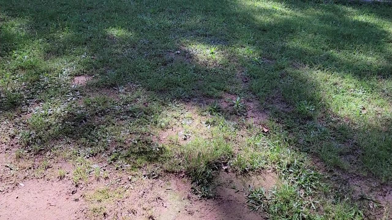 Getting stuff planted