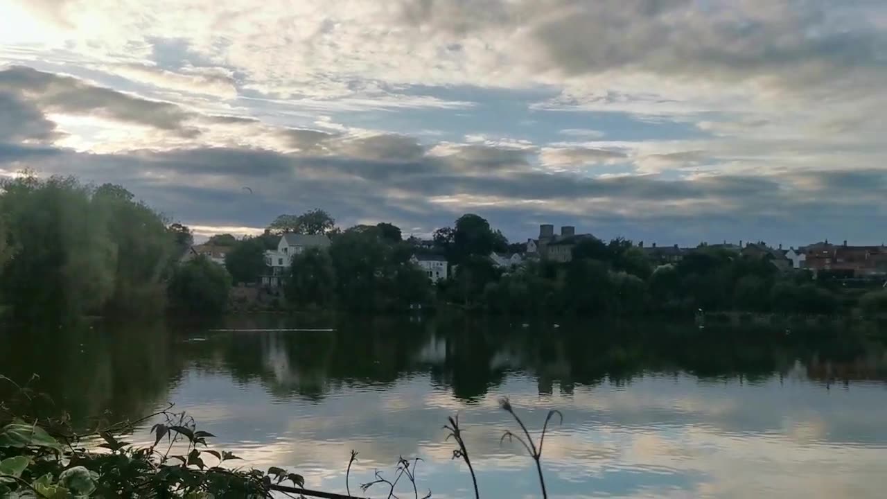 Google Johnny Botwright 4