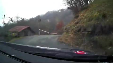 Best of Rally Monza 2021 - Crashes, Action, Pure Sound