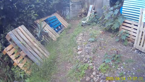 250414B___Madeira_NS-404,_more_garden_lights.(1080p)