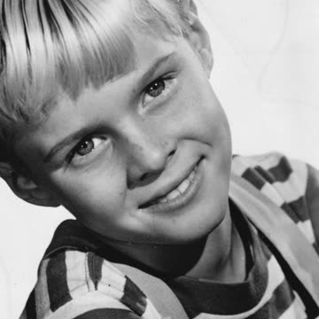 Remembering actor Jay North: Dennis the Menace Star Dies at 73