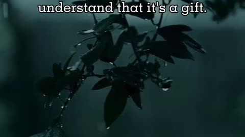 🙏❤️ Put God First | Prayer for Guidance & Priorities | InGodWeTrustDaily