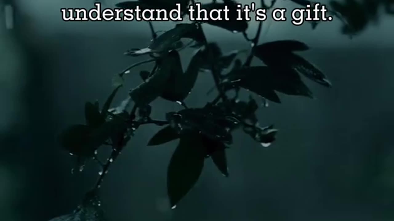 🙏❤️ Put God First | Prayer for Guidance & Priorities | InGodWeTrustDaily