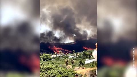 Wildfires sweep through Spain's Cadiz as beachgoers watch on